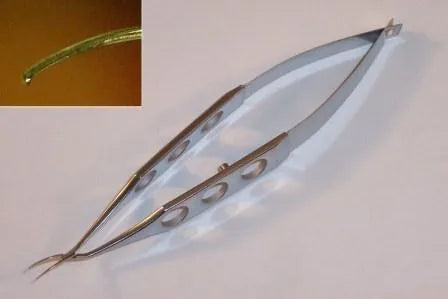 FF-6513 Inamura Capsulorhexis Forceps